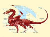 ����������� ��������� �������. 269 Kb �Jennifer Walker 1996, http://www.draconian.com