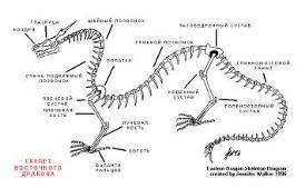 ������ ���������� �������