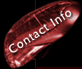 Contact Information